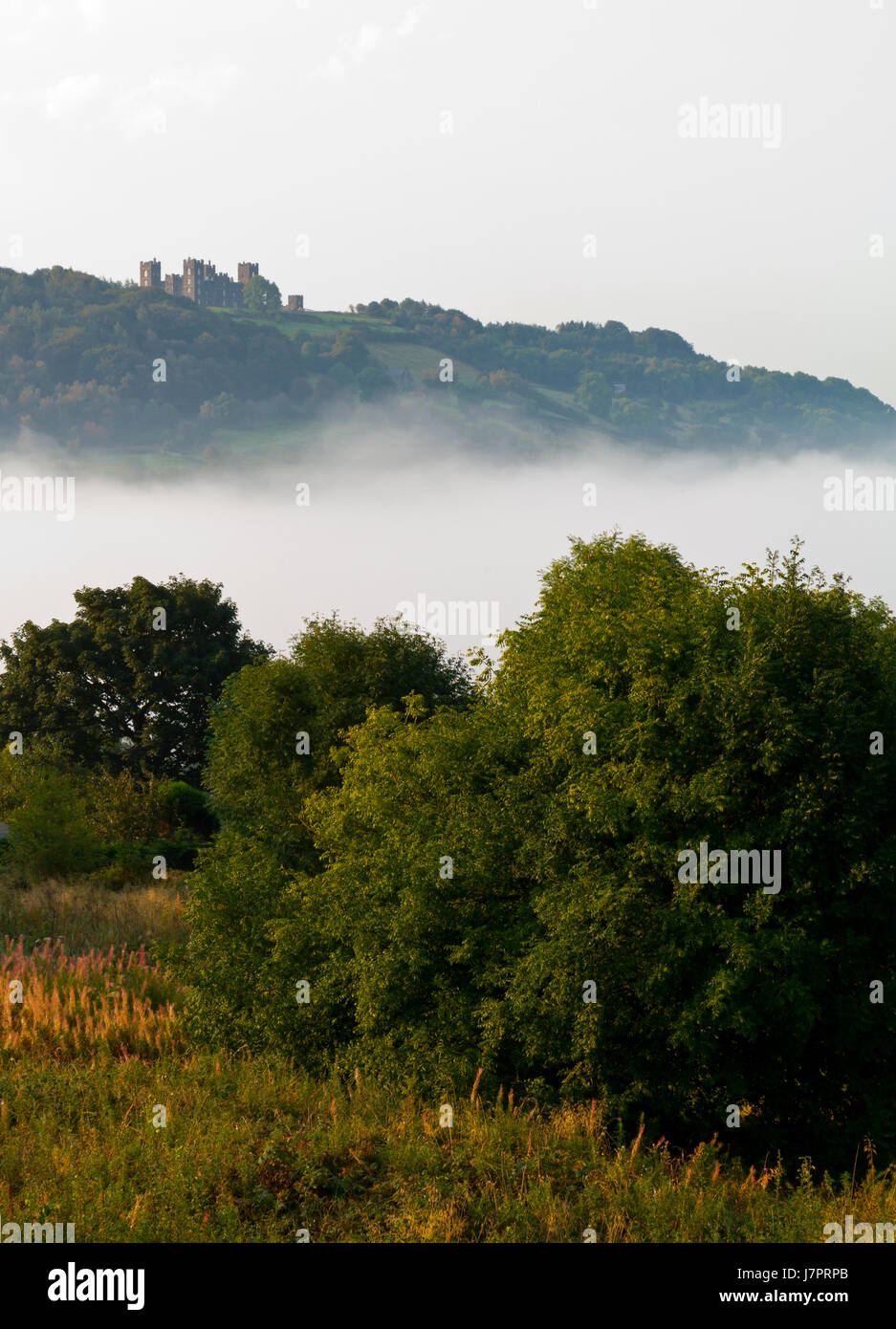Temperature inversion with mist in the valley and clear skies above