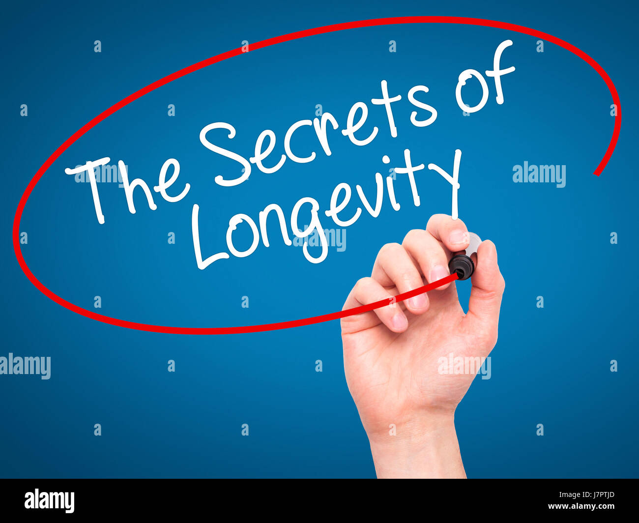 Man Hand writing The Secrets of Longevity with black marker on visual ...