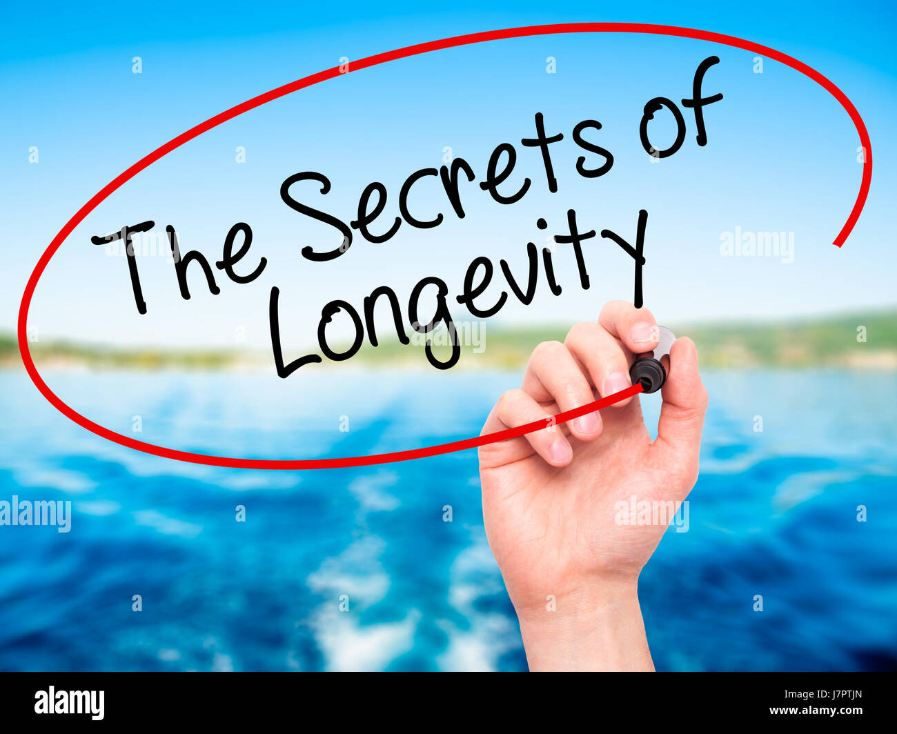 Man Hand writing The Secrets of Longevity with black marker on visual ...