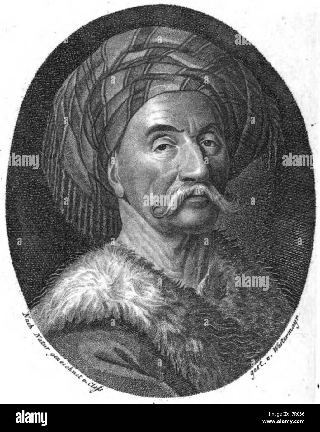 Jean Baptiste Adanson AGE V09 1802 Stock Photo Alamy