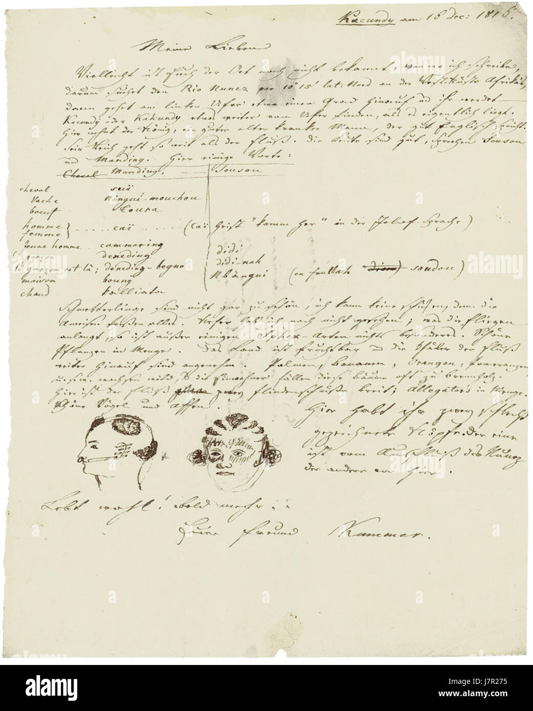 Adolph Kummer Brief aus Westafrika 1816 Stock Photo