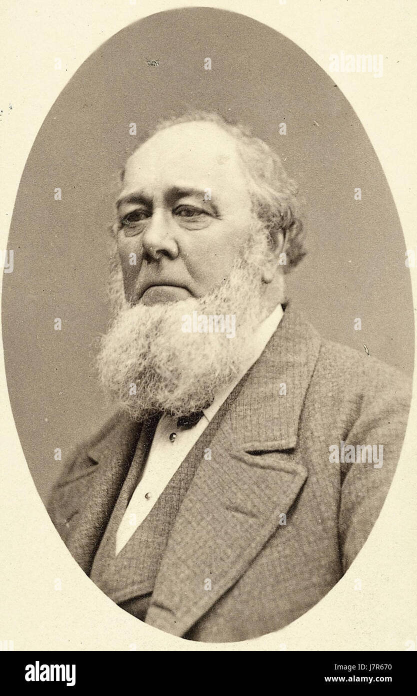 Charles C. Rich 1880 Stock Photo Alamy