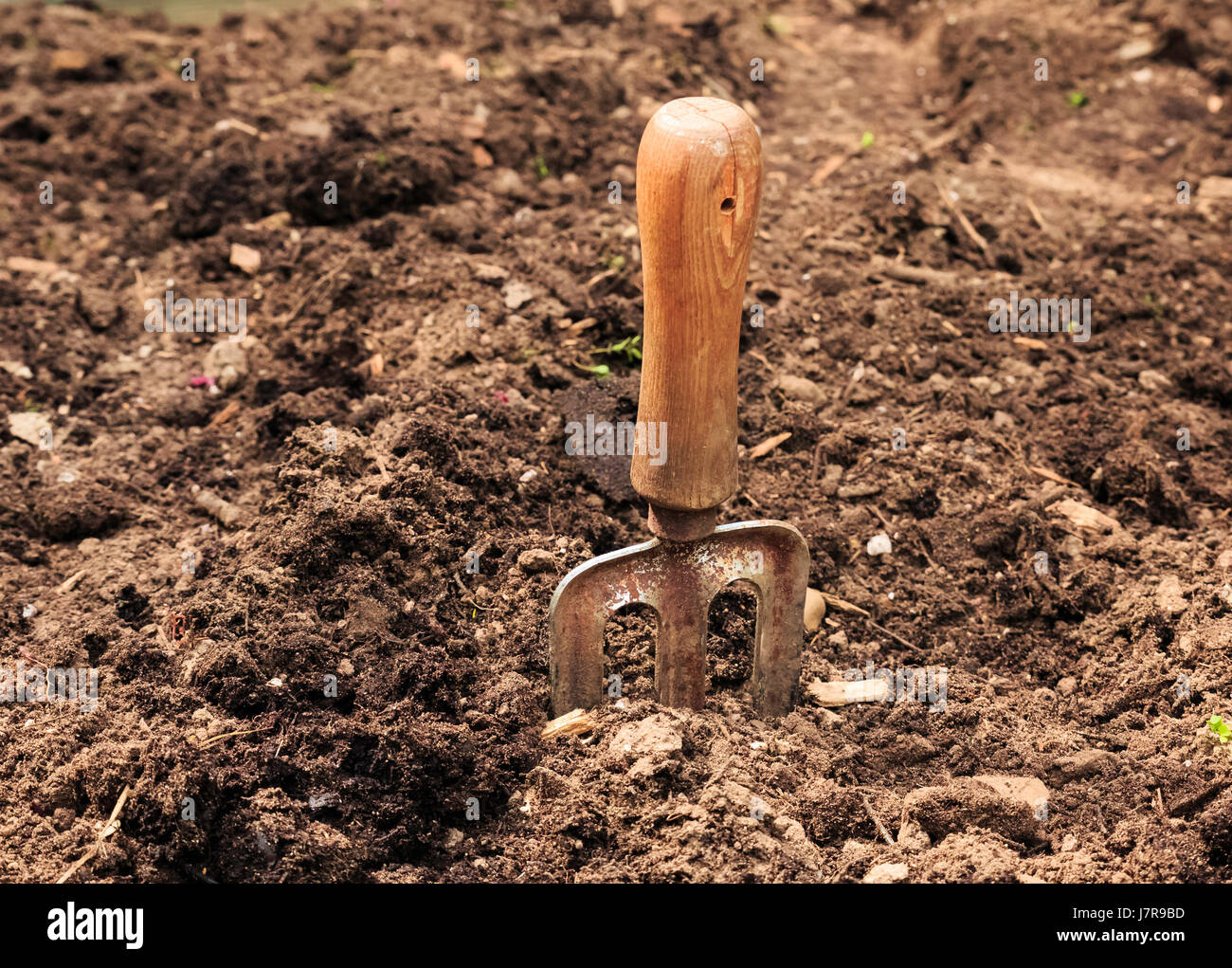 Closeup garden rake dug into garden soil Stock Photo Alamy