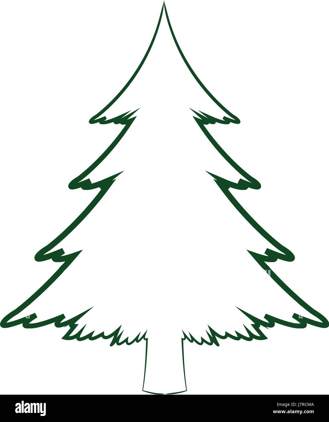 Pine Tree Outline