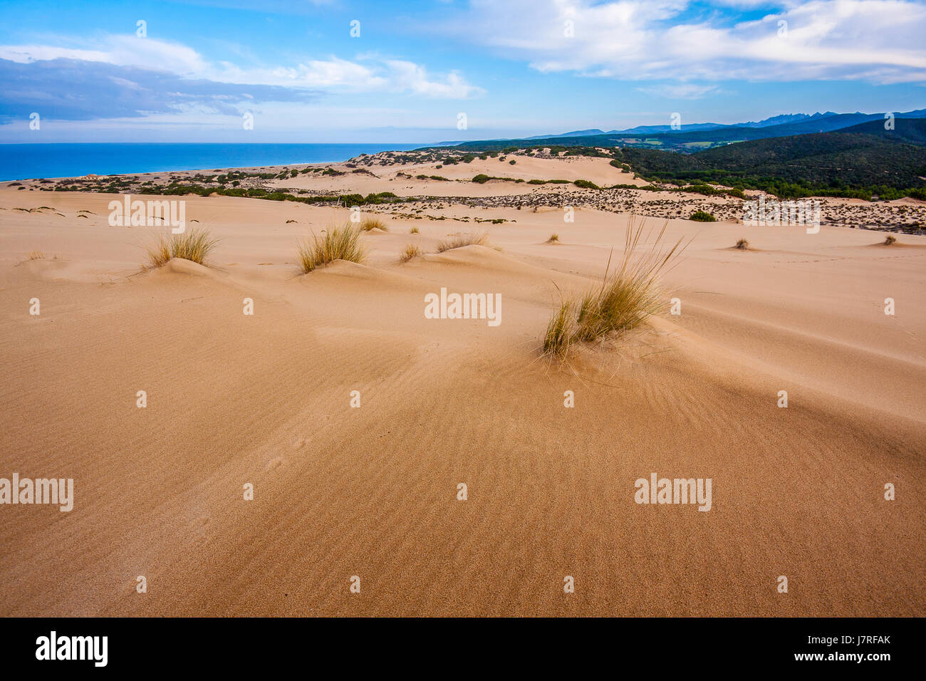 Italy Sardinia Piscinas Dunes Stock Photo Alamy italy-sardinia-piscinas-dunes-stock-photo-alamy