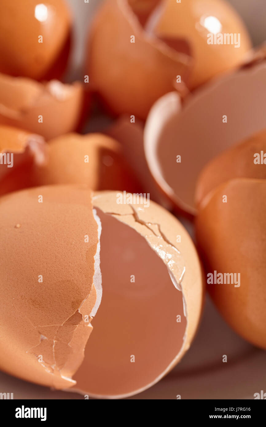 broken egg shells Stock Photo Alamy