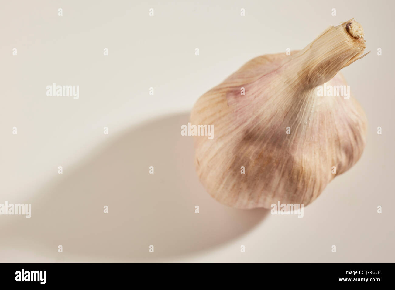 Whole heads of purple garlic Stock Photo Alamy