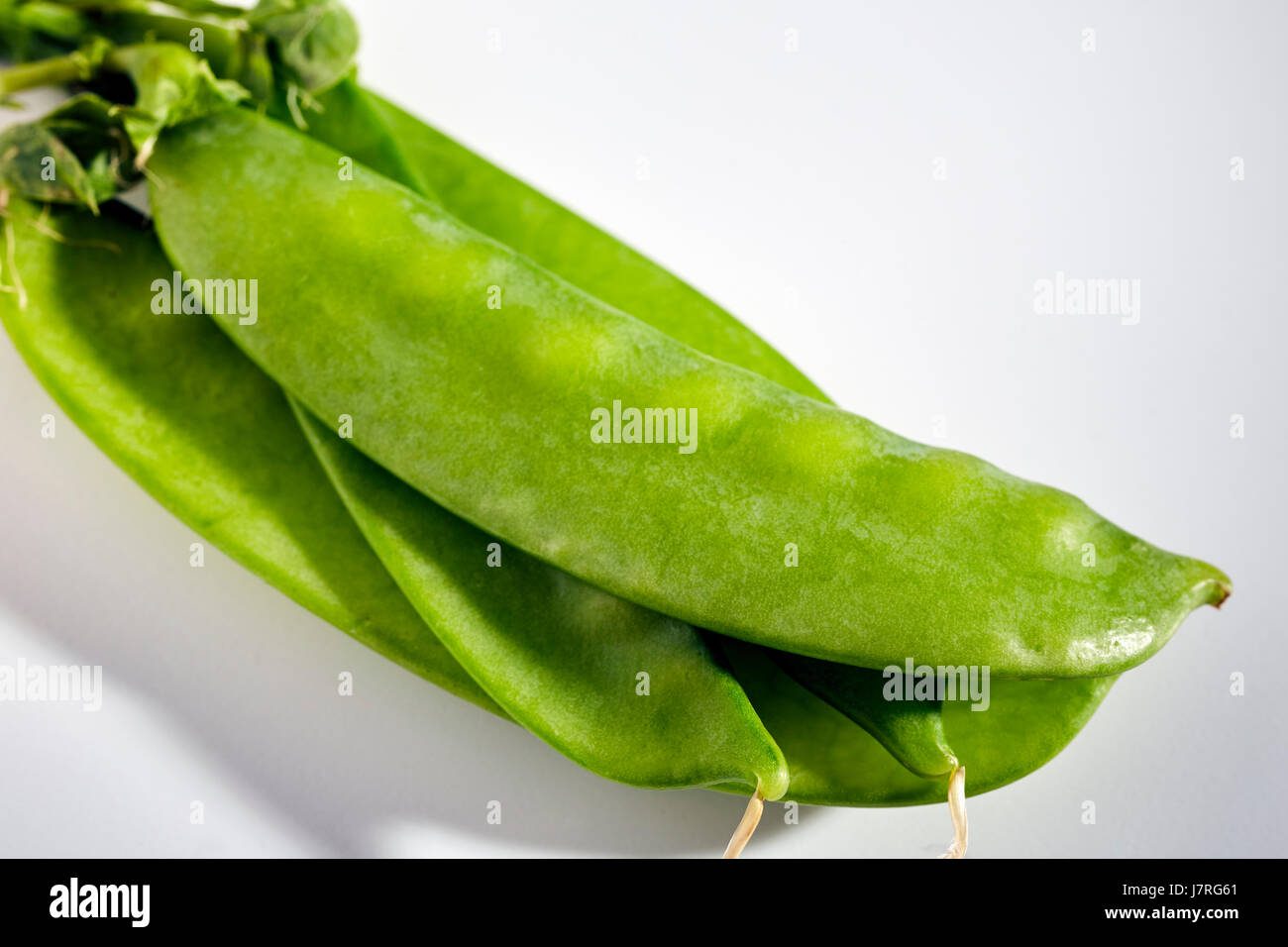 freshly picked snow peas from Pennsylvania, USA Stock Photo