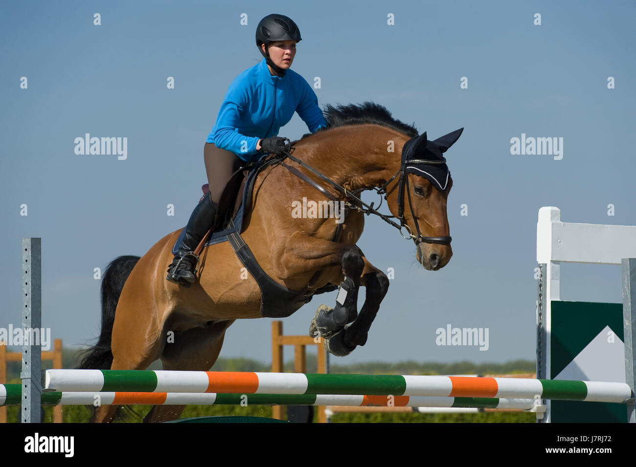 horse riding show jumping Stock Photo Alamy