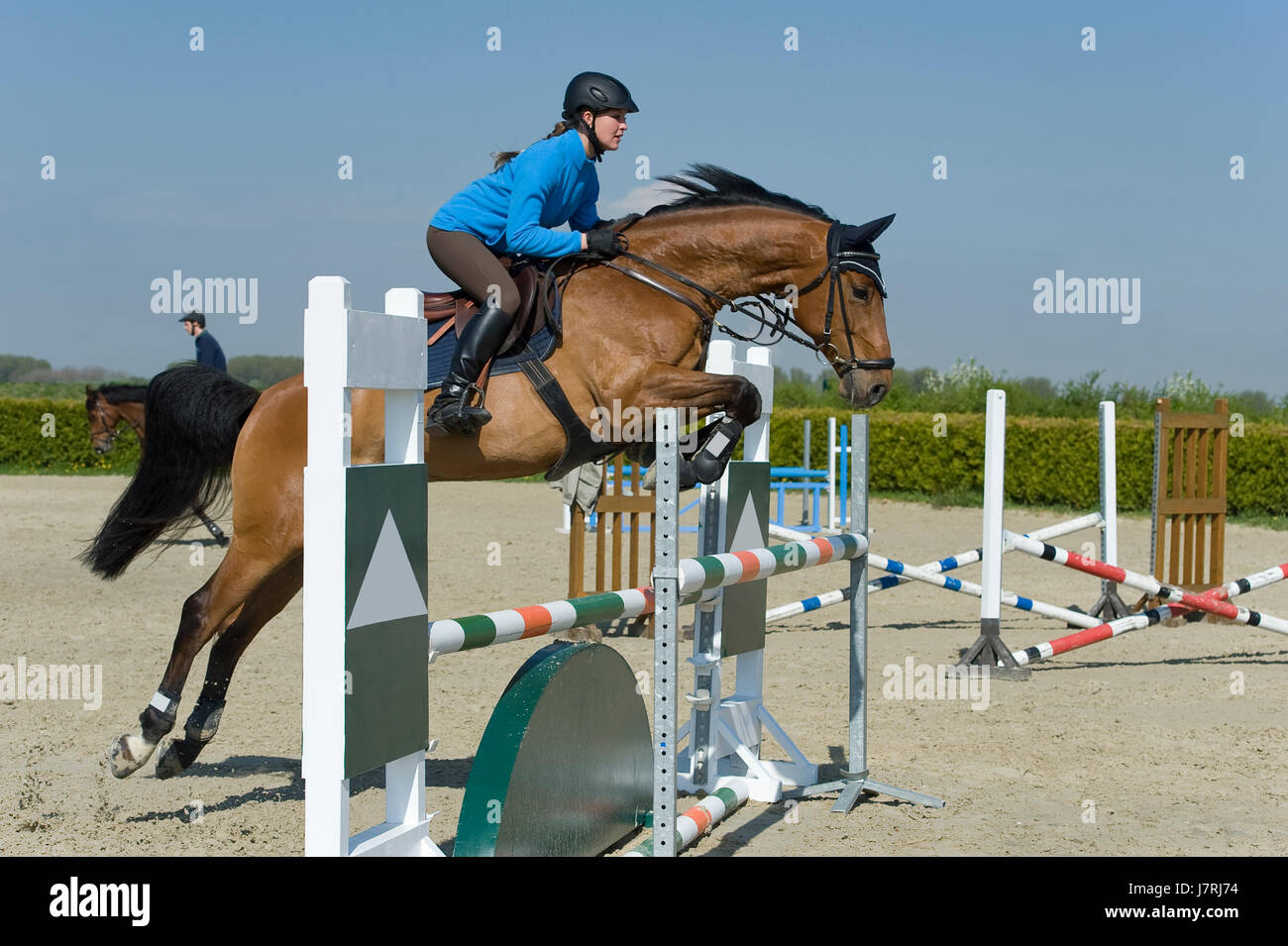 ride horse spring bouncing bounces hop skipping frisks jumping jump