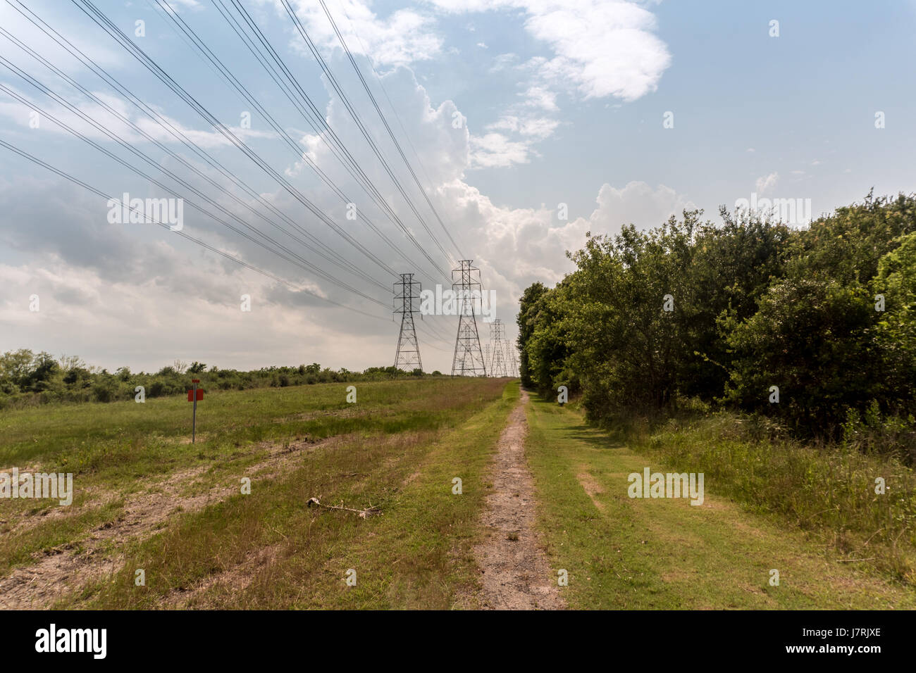 Power lines in a field on a sunny day Stock Photo