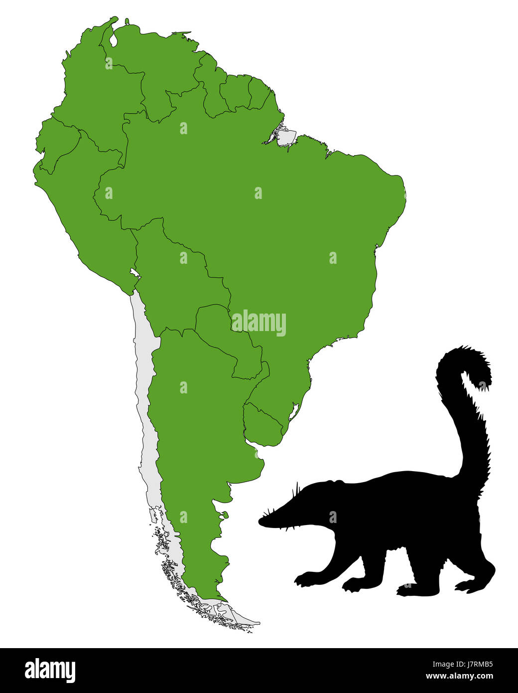 Coati distribution map hi-res stock photography and images - Alamy