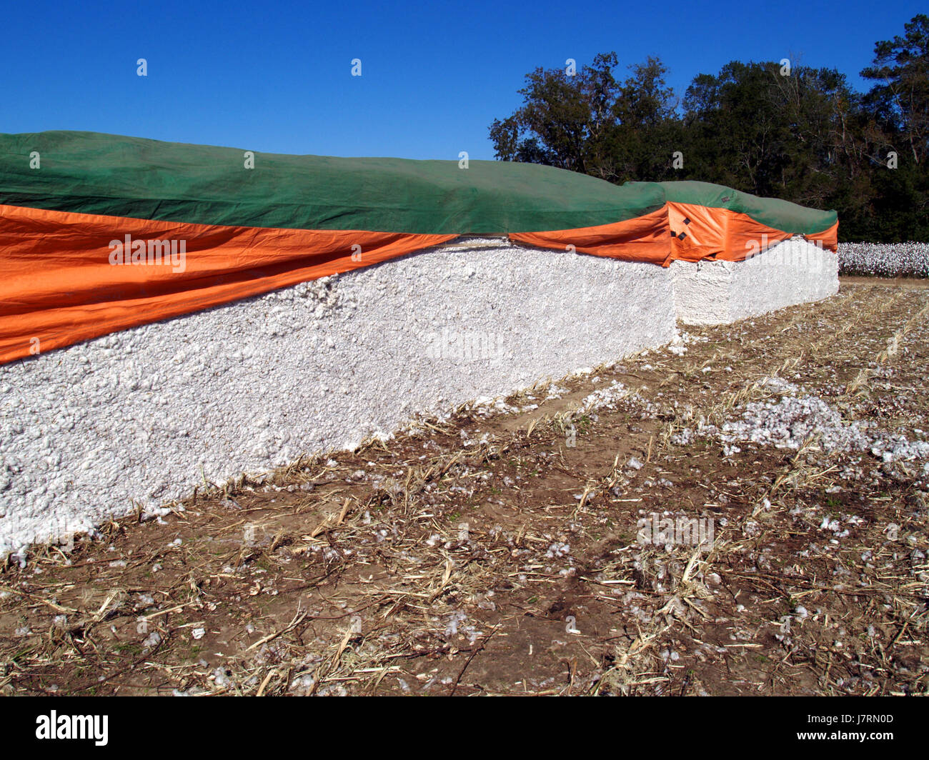 industry agriculture farming harvest south georgia cotton module ...