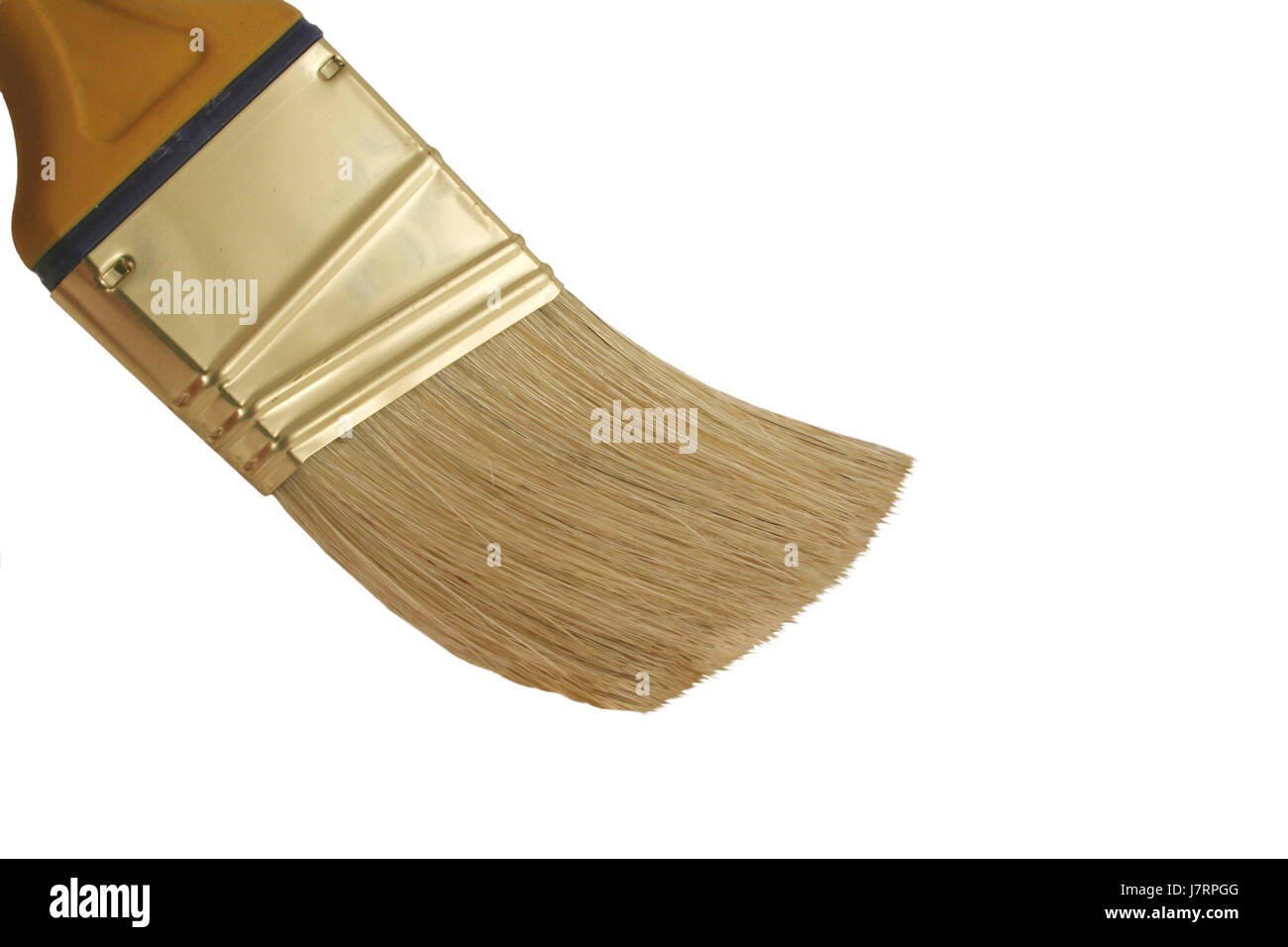 colour painting brush paint bristles painted bristle artist painter