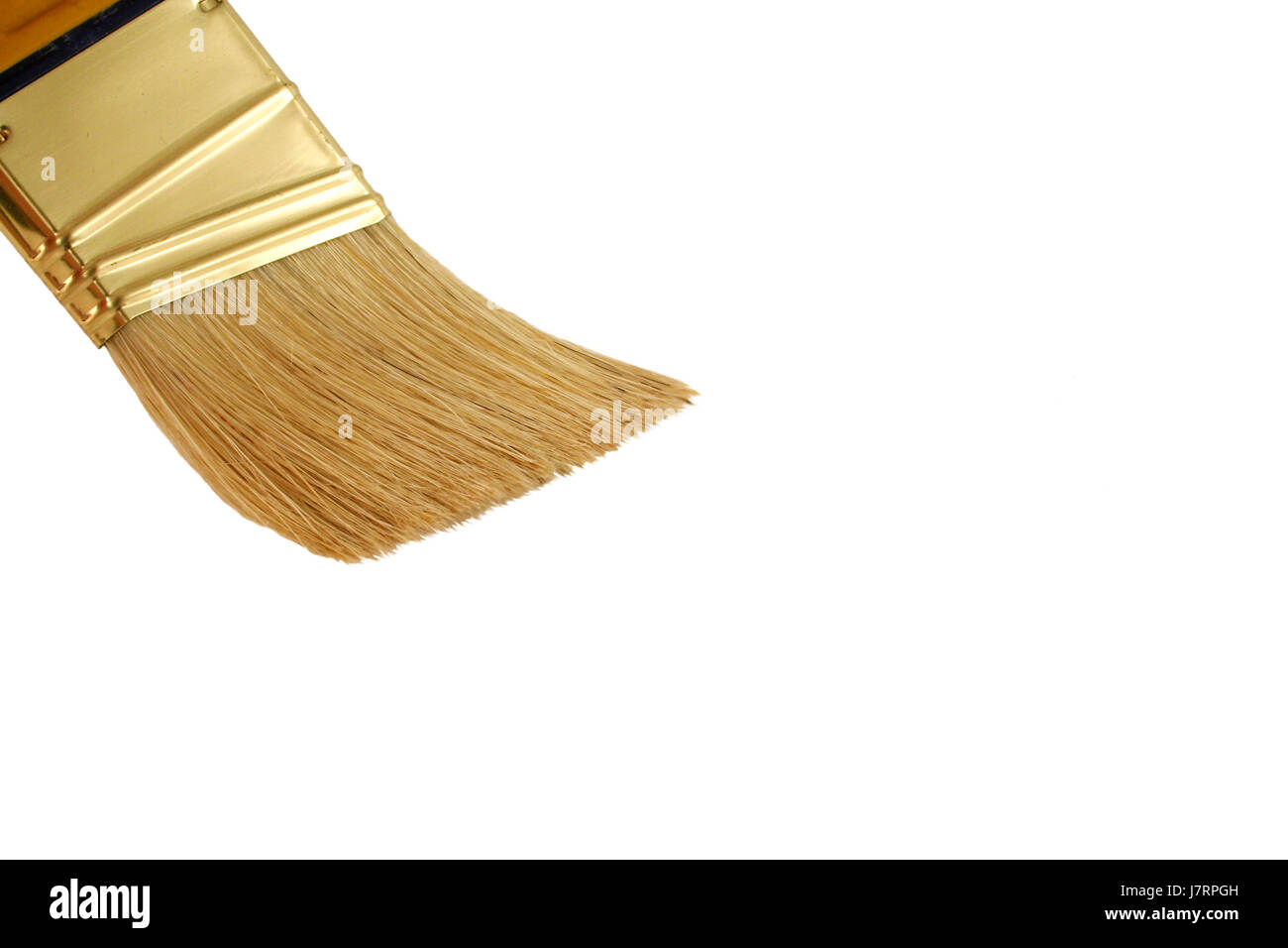 colour painting brush paint bristles painted bristle artist painter