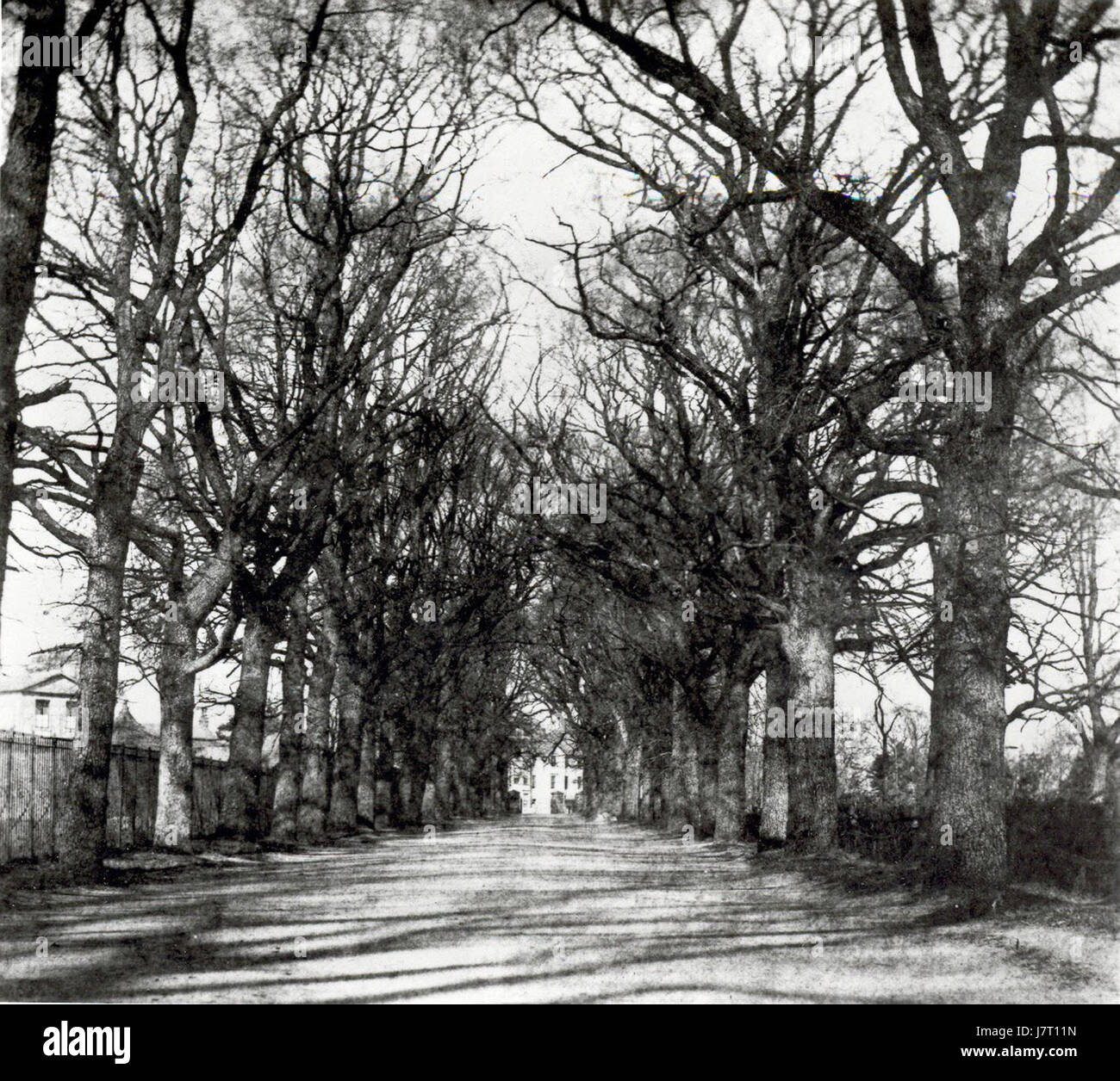 Coley Avenue, Reading, c. 1845 Stock Photo Alamy