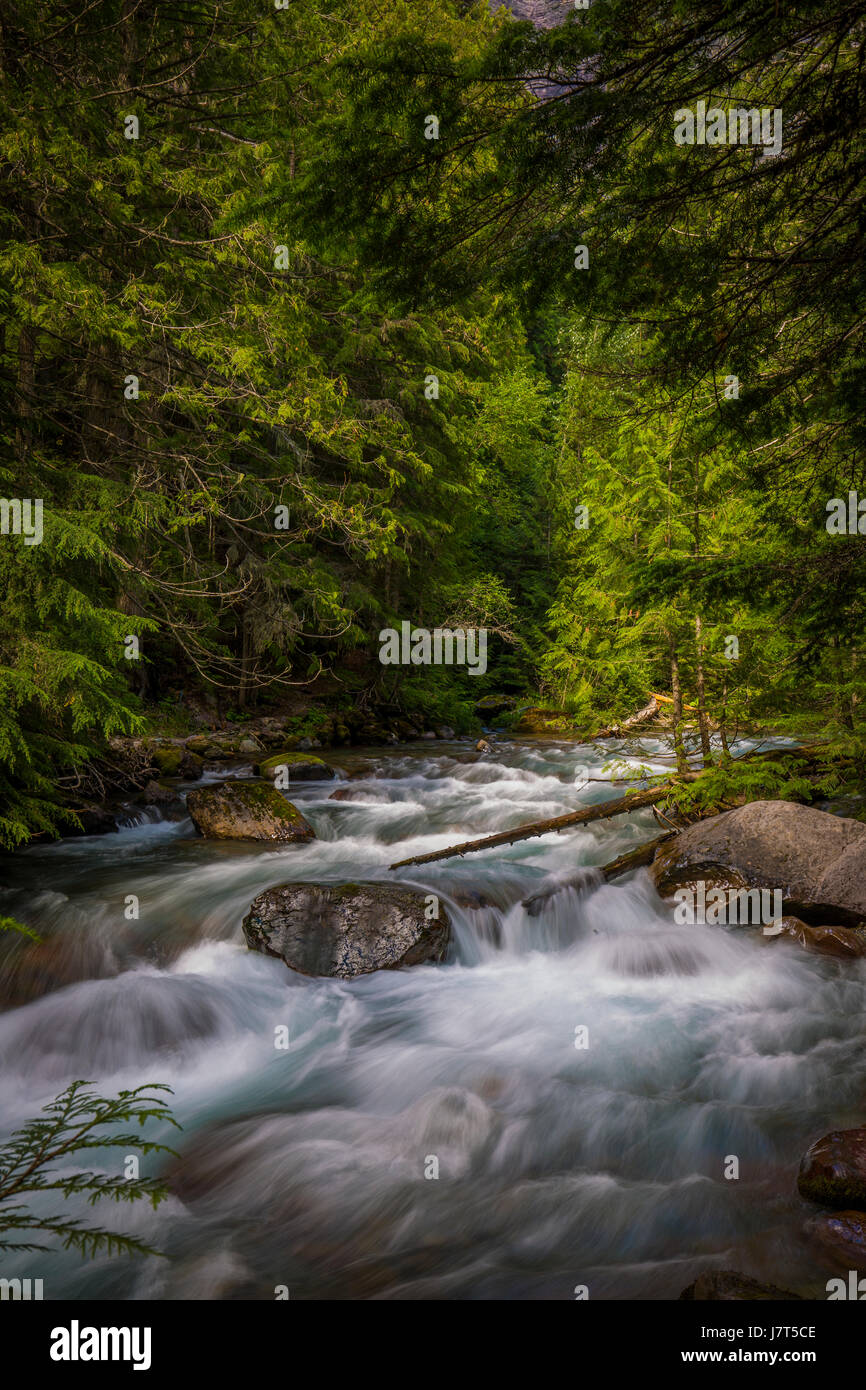rushing water brook stream current gorge montana glacier garden wall ...