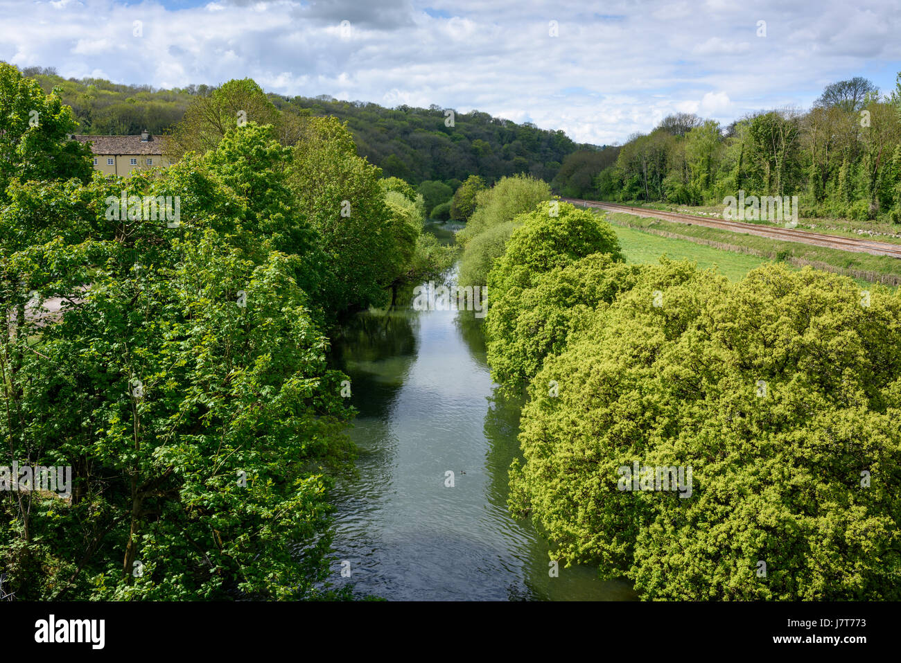 The River Avon viewed from Avoncliff Aqueduct, Wiltshire, England. Stock Photo