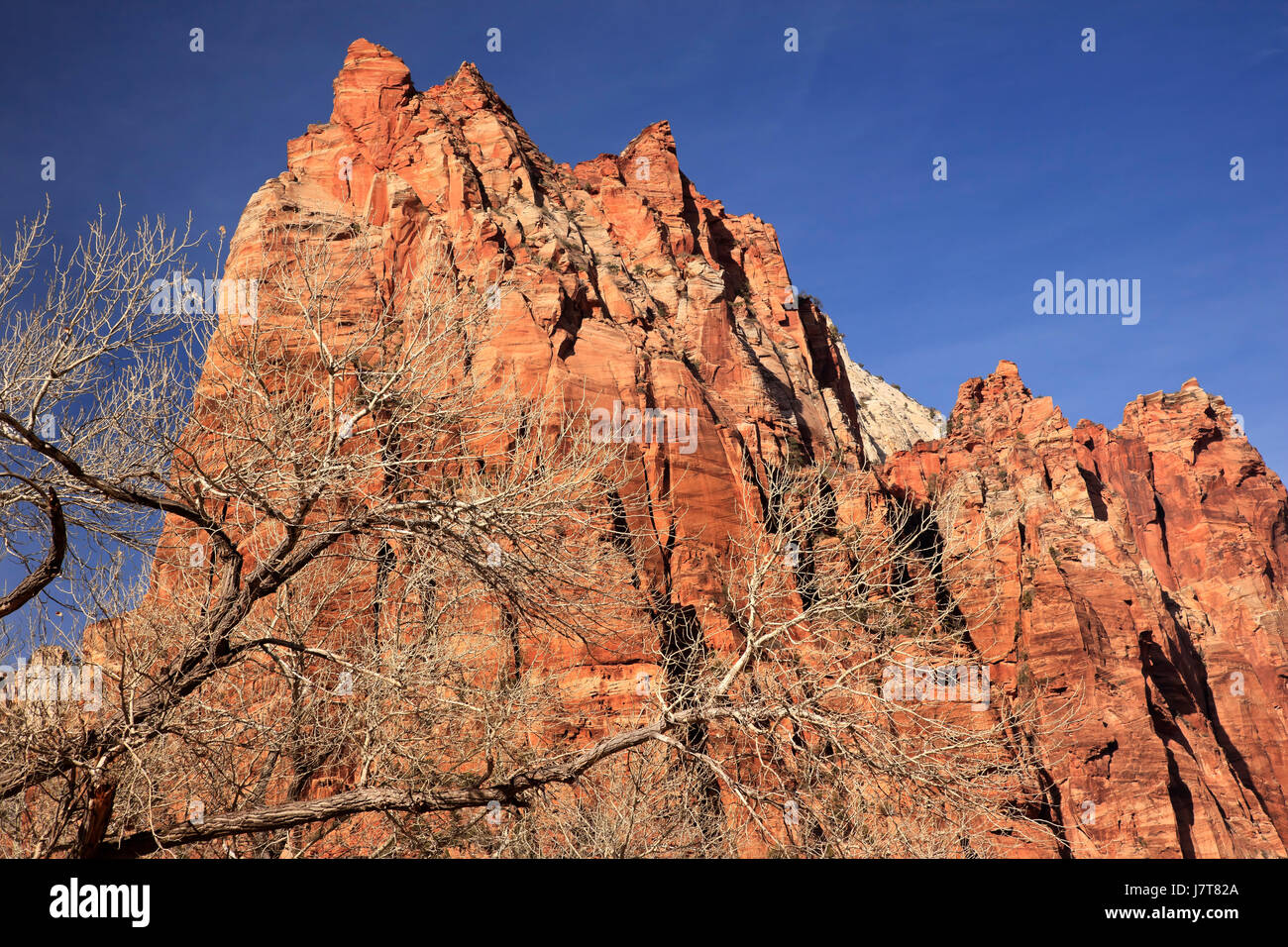 Canyon landscape scenery countryside nature blue beautiful beauteously nice Stock Photo