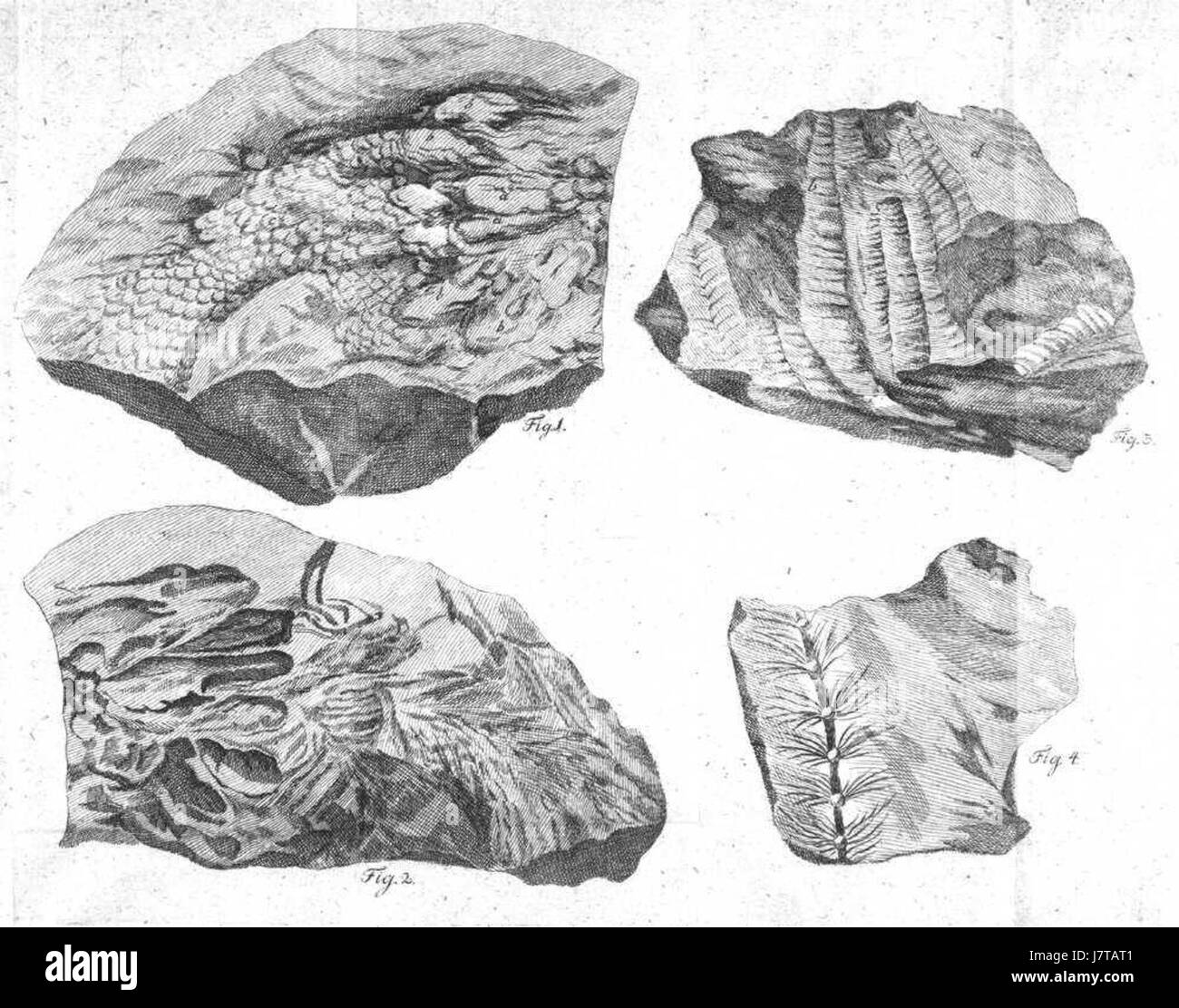 Krebs map hires stock photography and images Alamy