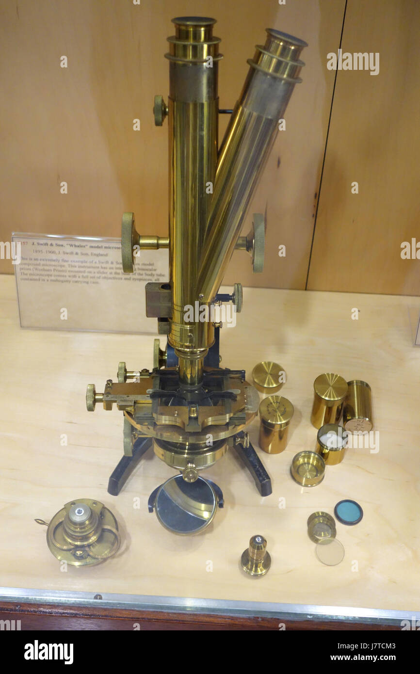 This model of a binocular compound microscope, produced by J. Swift ...