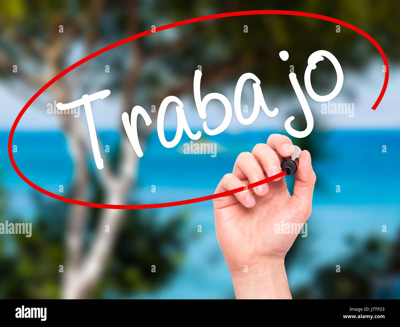 Man Hand writing Trabajo ( work in Spanish) with black marker on visual