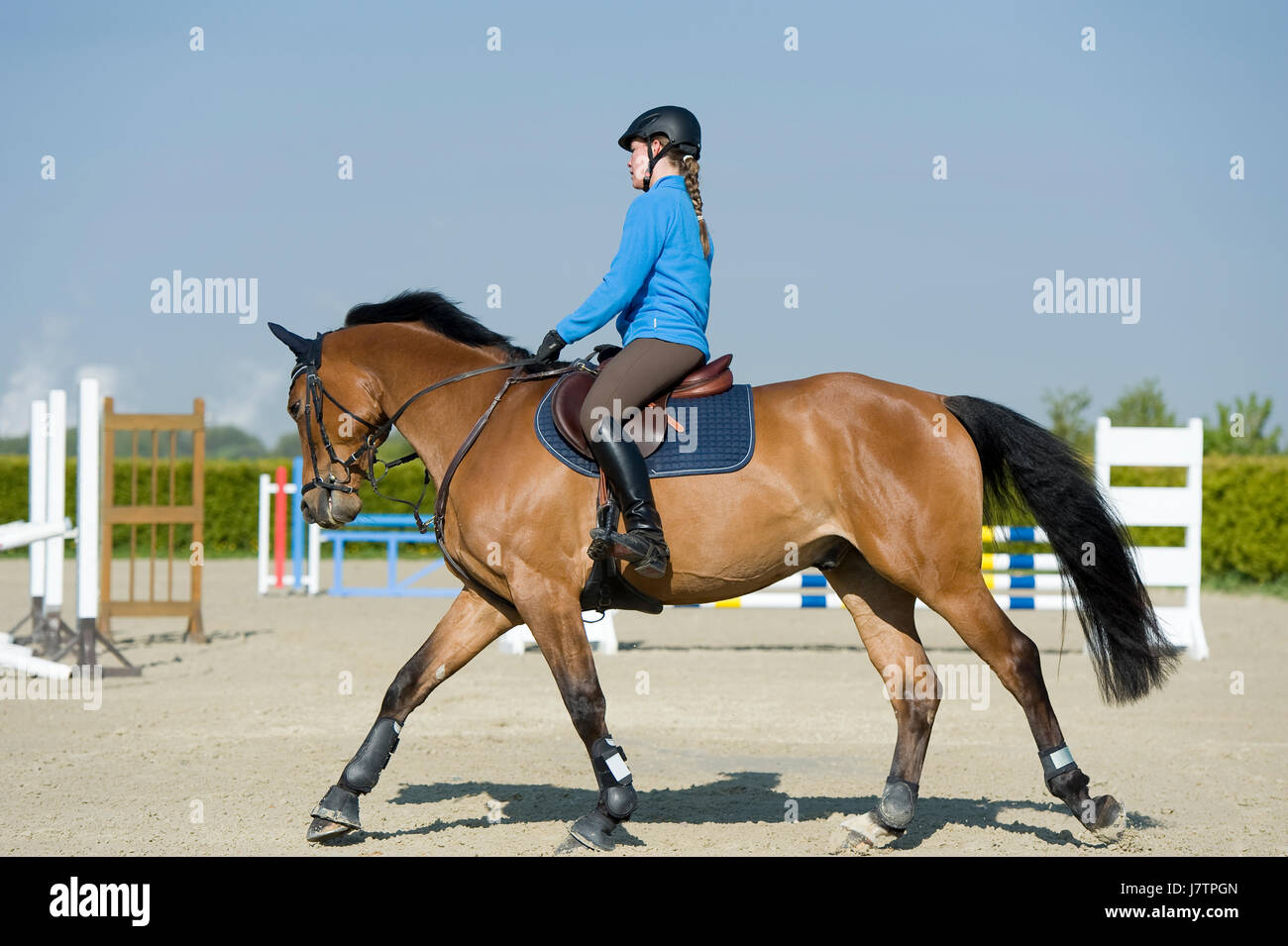 horse riding Stock Photo - Alamy