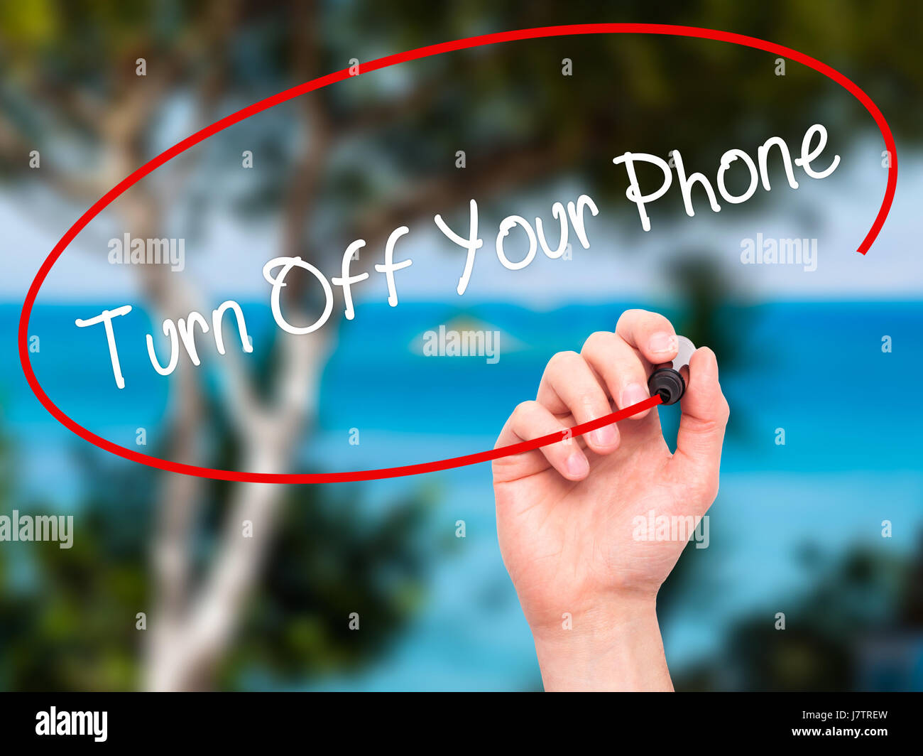 Man Hand writing Turn Off Your Phone with black marker on visual screen. Isolated on nature. Business, technology, internet concept. Stock Photo Stock Photo