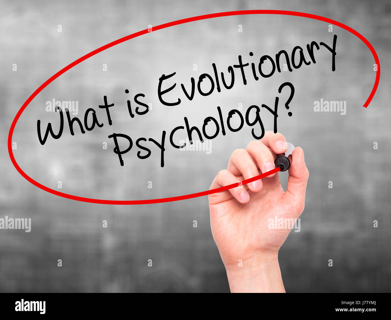 Evolutionary Psychology Examples