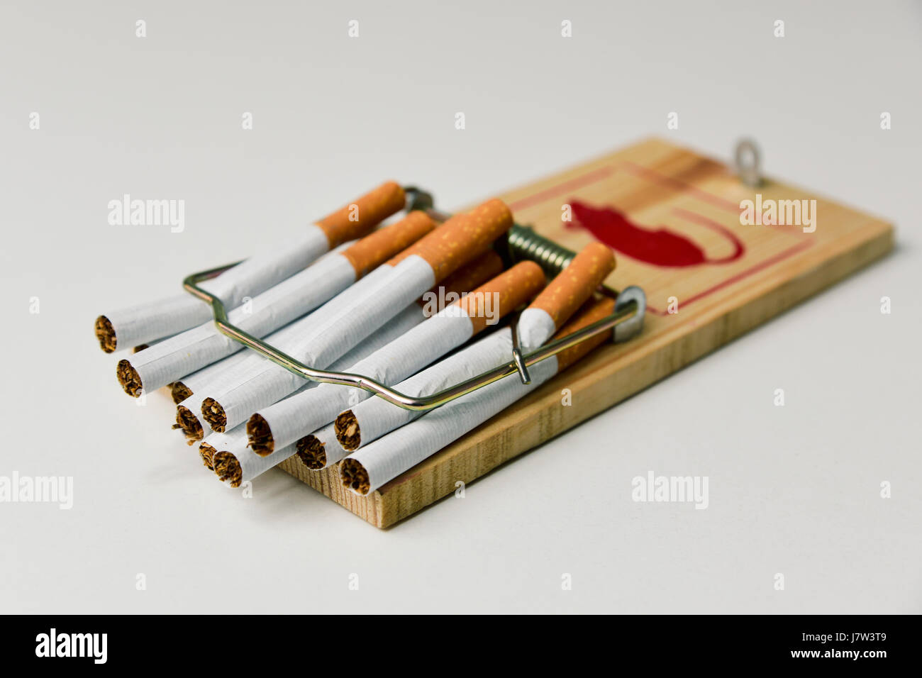 some cigarettes trapped in a mousetrap, on an off-white background Stock  Photo - Alamy