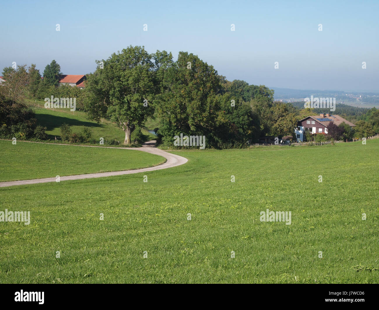 12 Apostel Baum Stock Photo