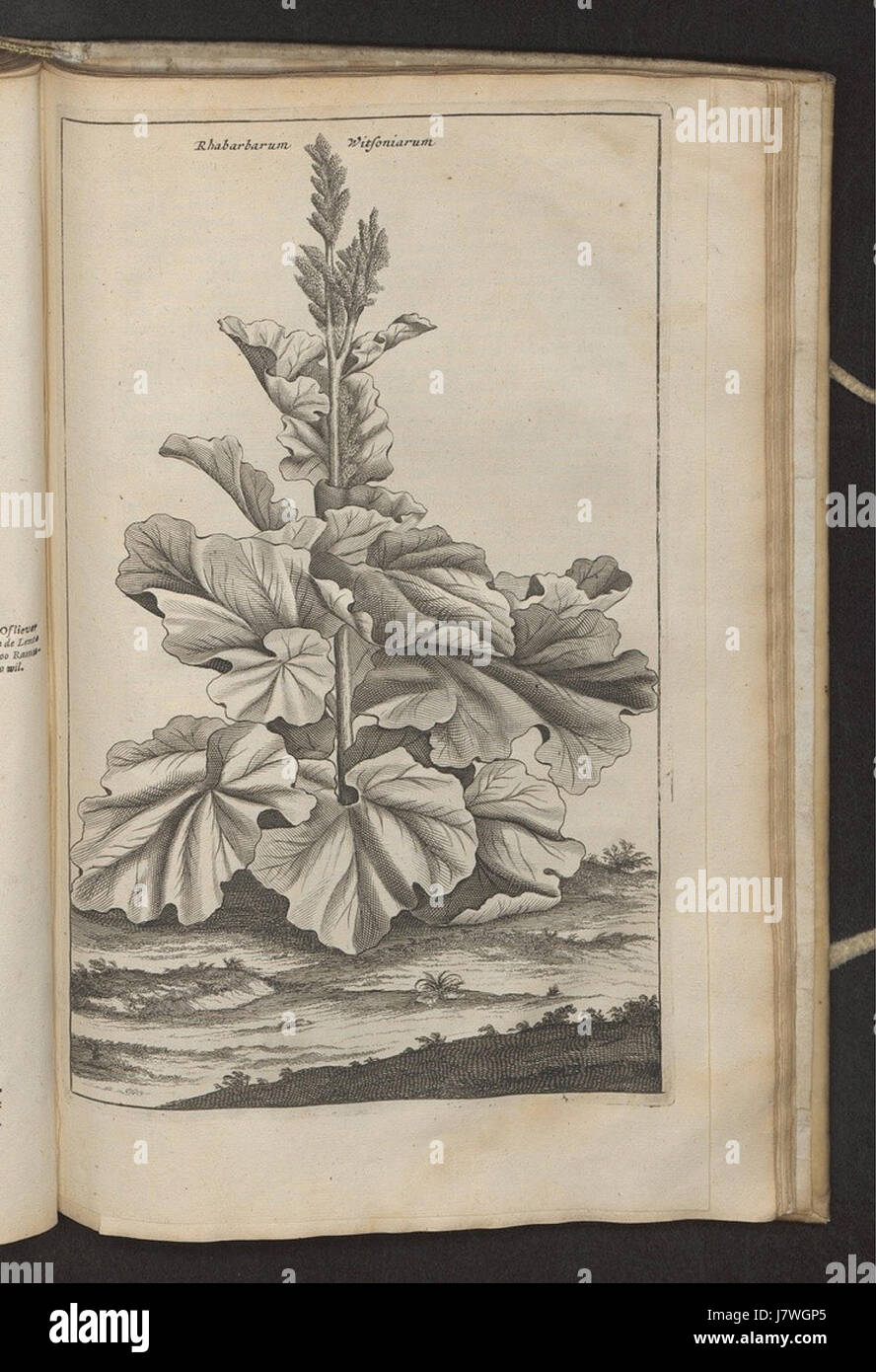 This 1670 work by Dapper provides an account of notable events or ...