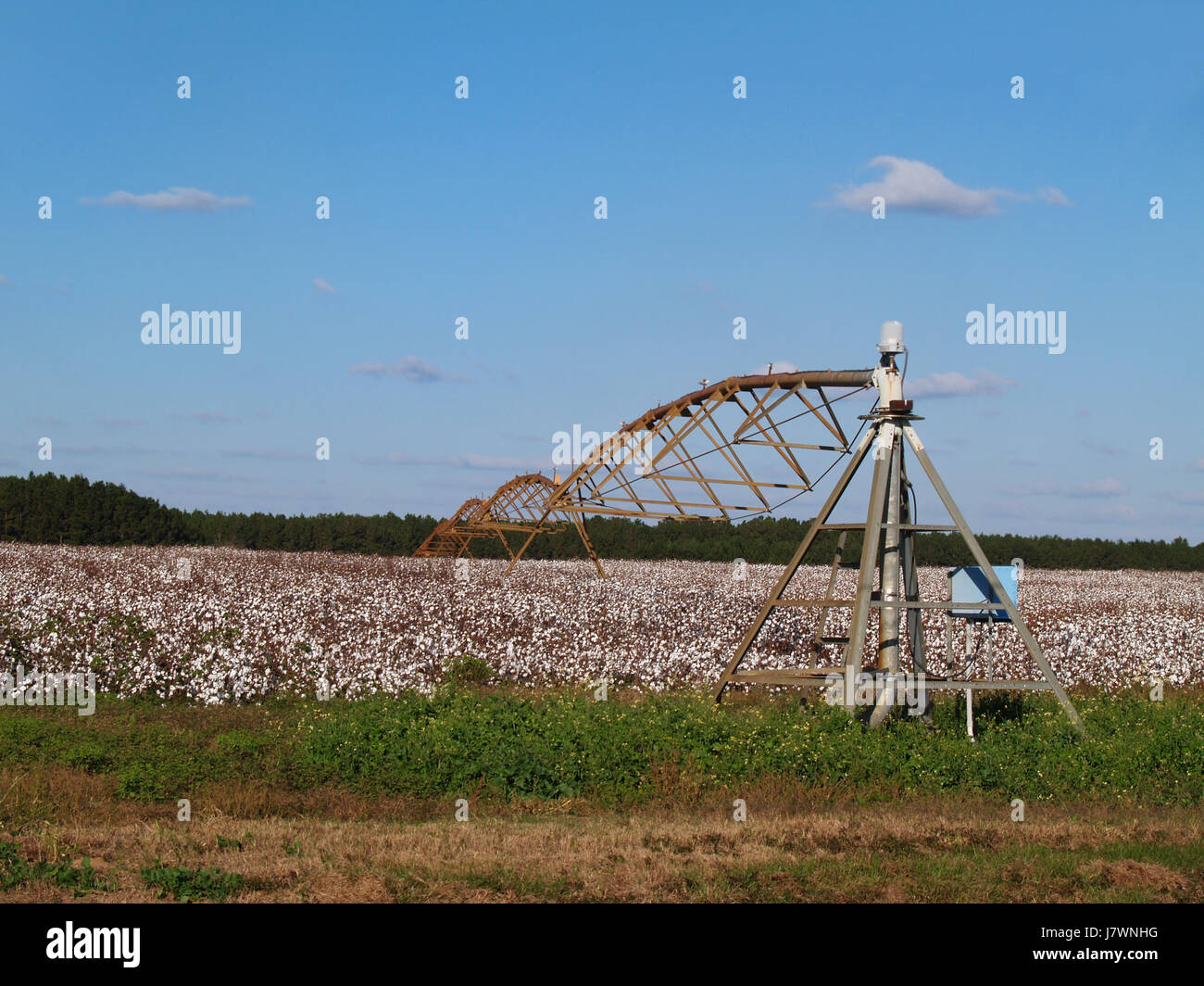 agriculture farming field usa farm cotton rural watering