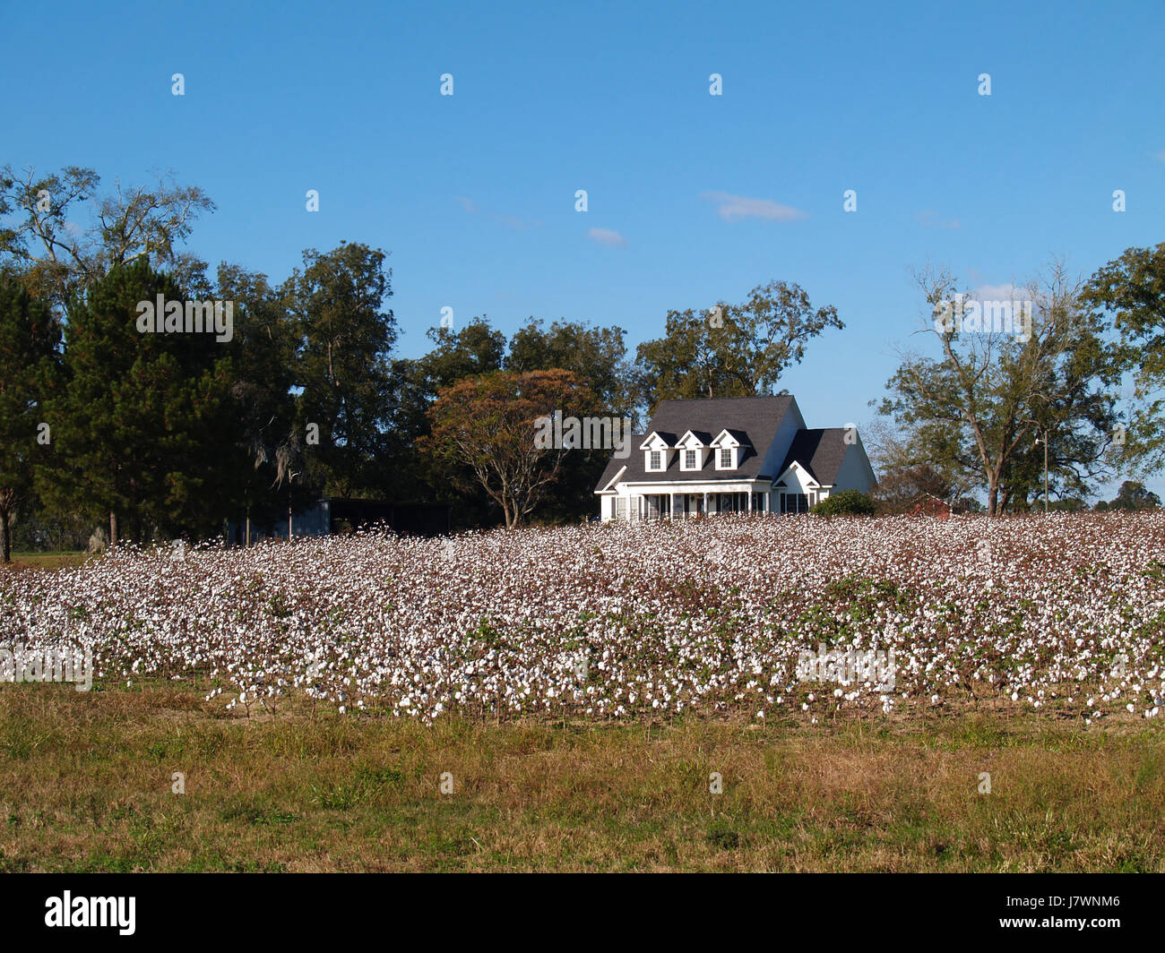 house building agriculture farming field usa farm cotton rural