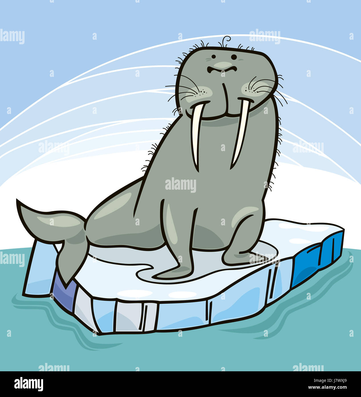 comic animal arctic illustration cartoon salt water sea ocean water walrus  ice Stock Photo - Alamy