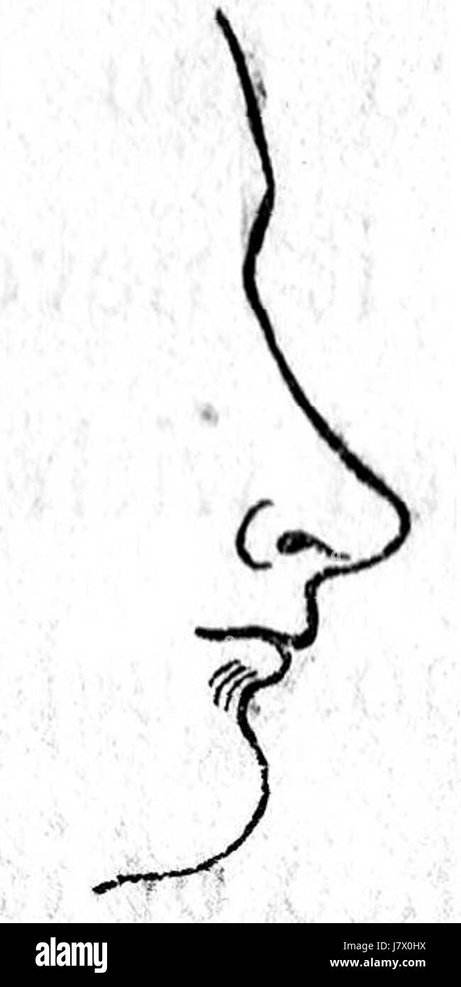 Human Nose Black And White