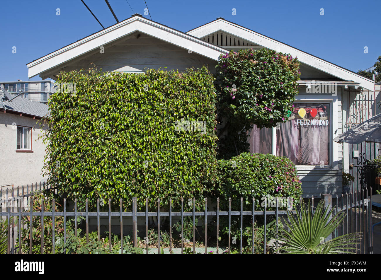 Bungalow behind topiary in Long Beach, CA Stock Photo