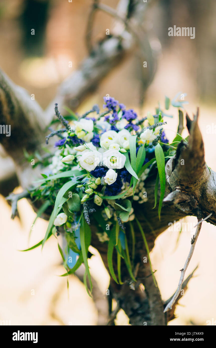 Wedding bridal bouquet of roses, lisianthus, lavender, Gypsophila, Verdure Italian on tree bark. Wedding in Croatia, Dubrovnik. Stock Photo