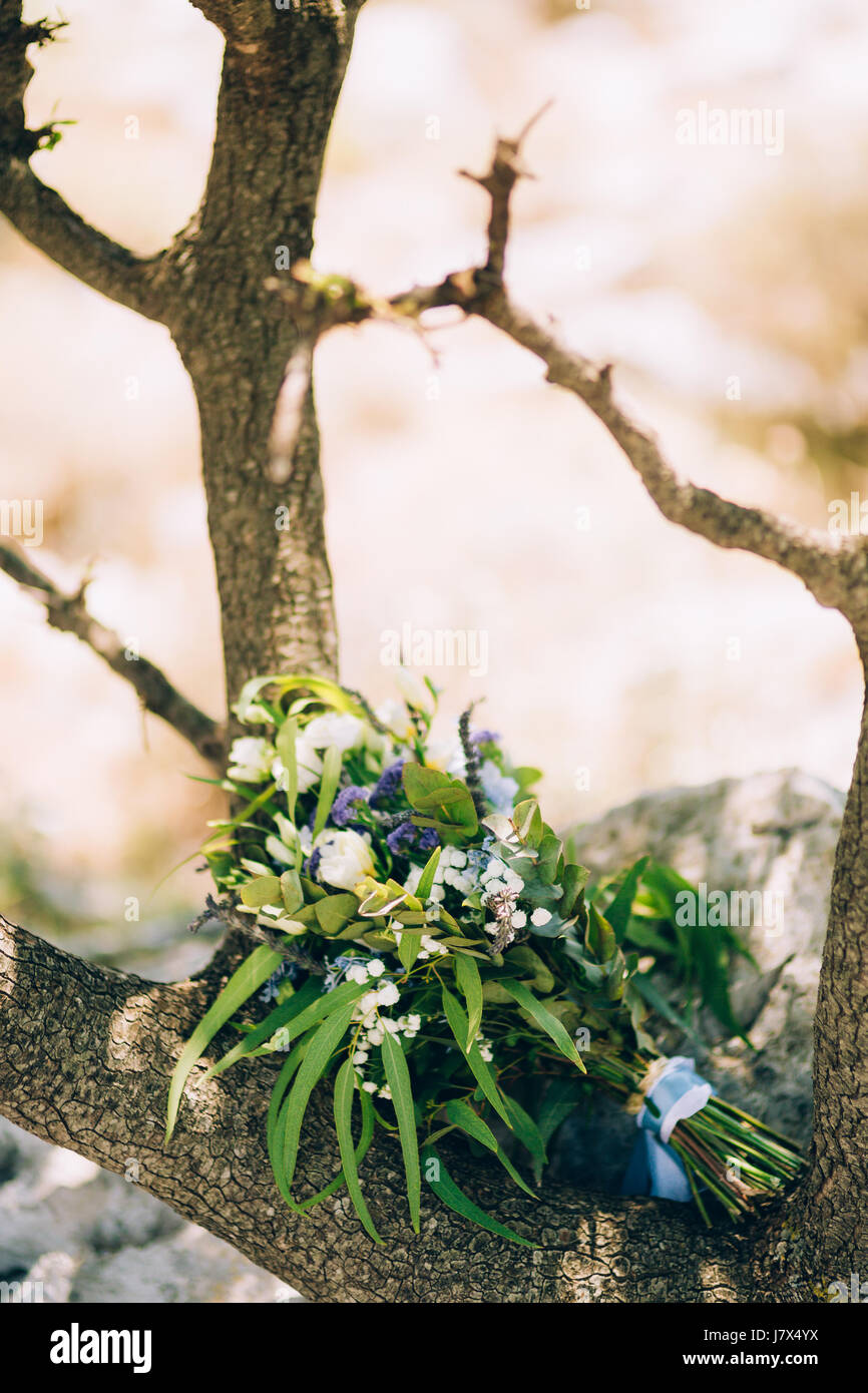 Wedding bridal bouquet of roses, lisianthus, lavender, Gypsophila, Verdure Italian on tree bark. Wedding in Croatia, Dubrovnik. Stock Photo