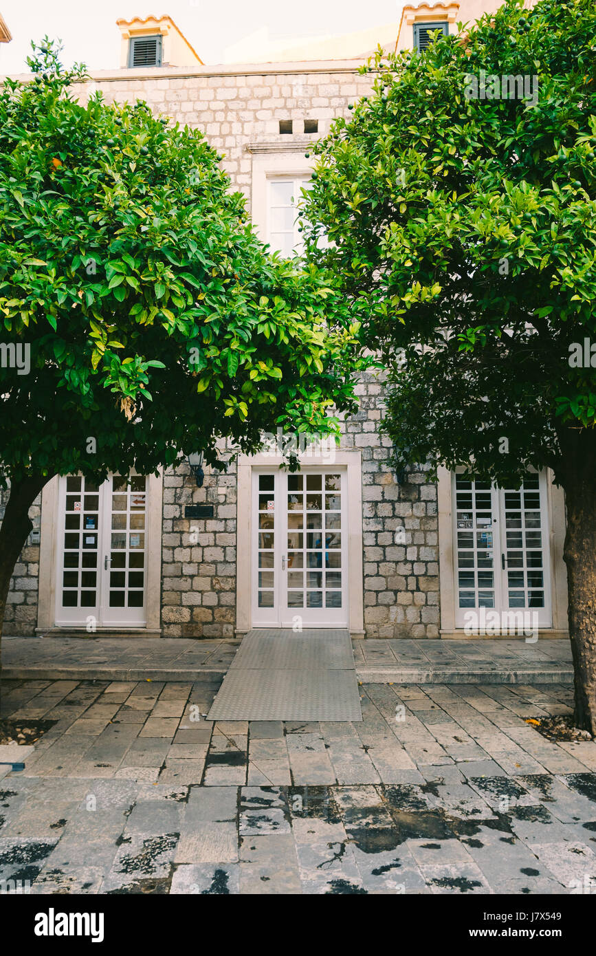 Orange Tree near the stone house. Ripe orange fruit Stock Photo Alamy