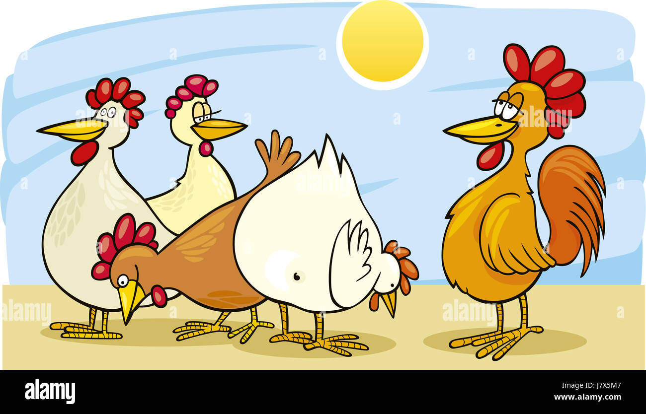 illustration farm chicken hen cartoon cock rooster comics art comic model  Stock Photo - Alamy