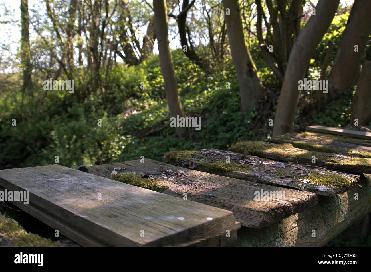 a few boards as a bridge Stock Photo - Alamy