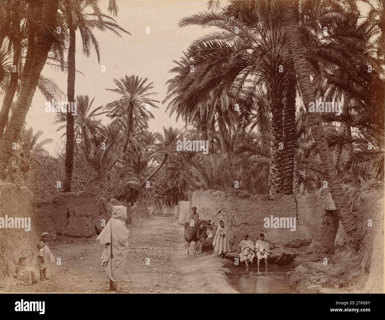 Algeria 1800s Tupper Scrapbooks Collection 10 Stock Photo