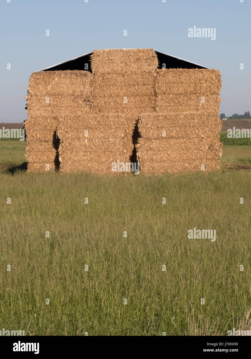 Corn stover hires stock photography and images Alamy