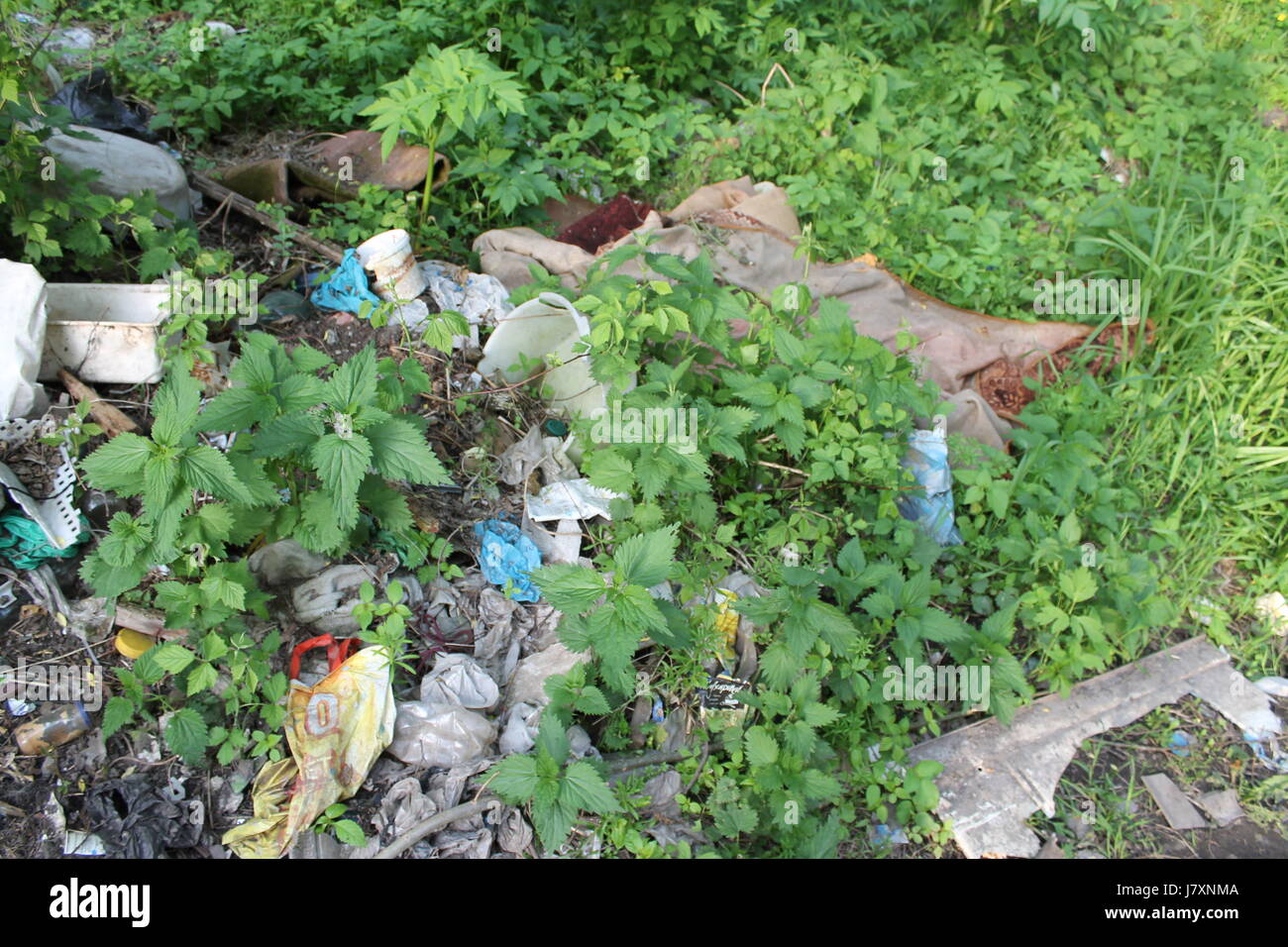 Environmental problem. Garbage dump in the forest Stock Photo - Alamy