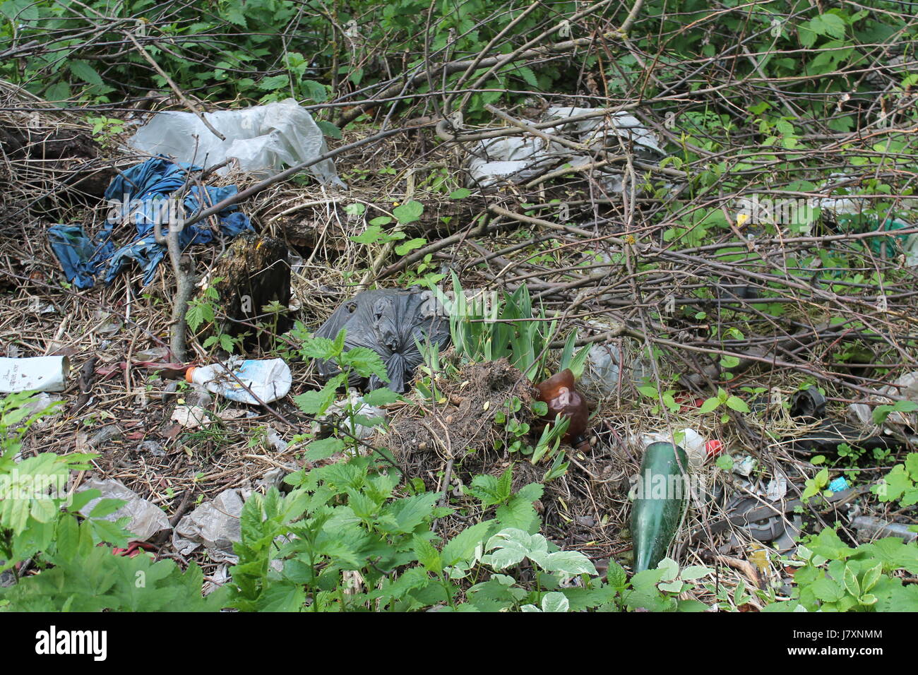Environmental problem. Garbage dump in the forest Stock Photo - Alamy