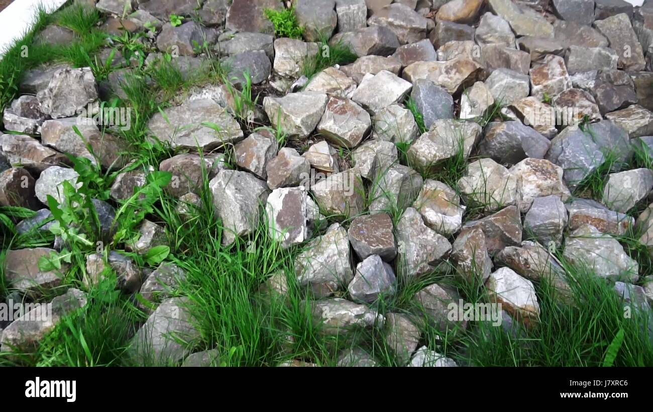 Decorative Stones Large And Small On The Alley Stock Photo