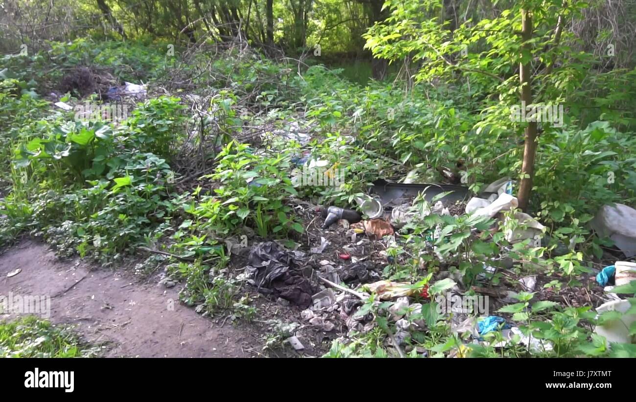 Environmental problem. Garbage dump in the forest Stock Photo - Alamy