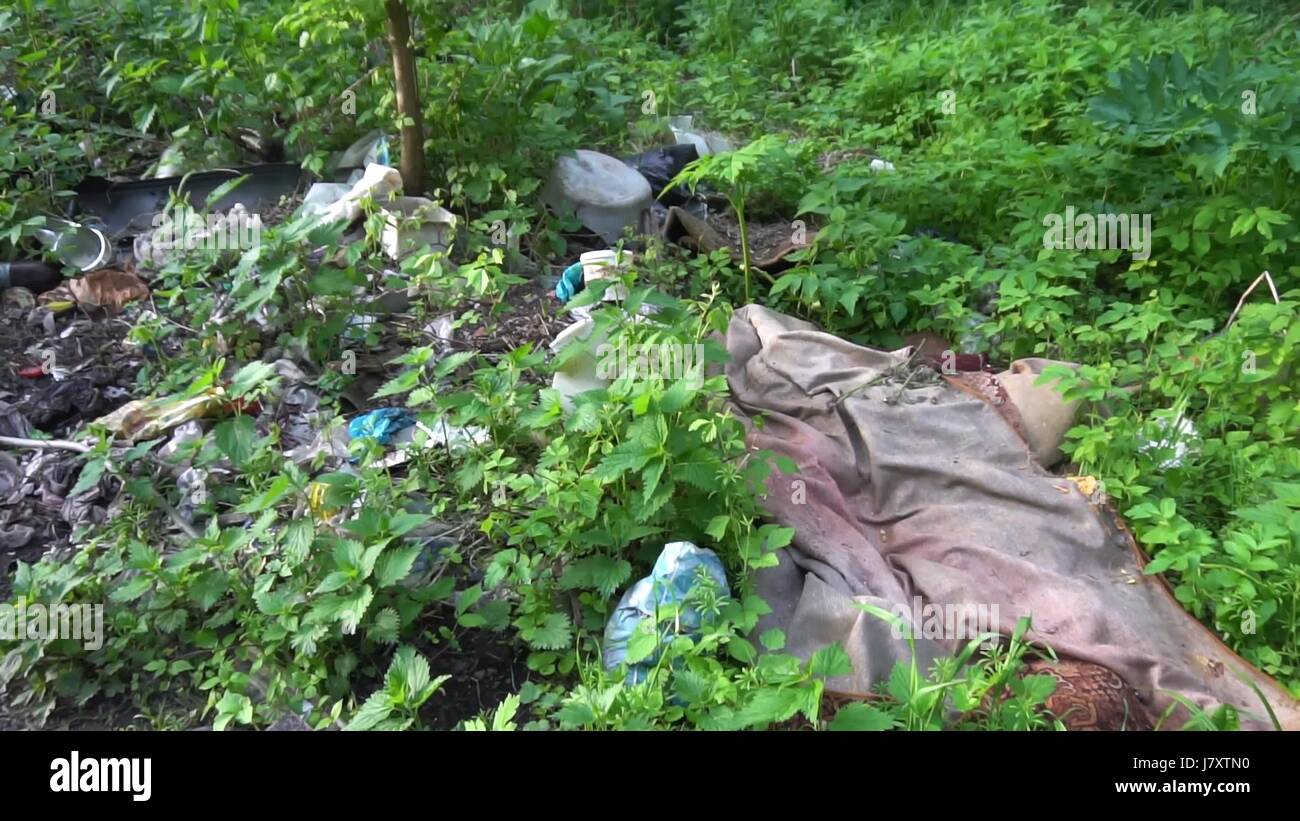 Environmental problem. Garbage dump in the forest Stock Photo - Alamy