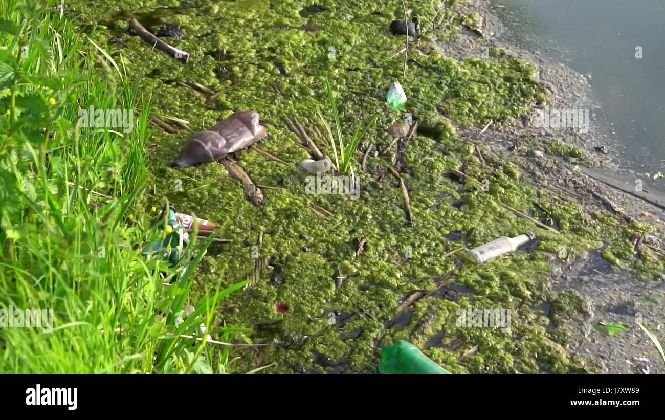 Environmental problem. Garbage dump in the forest Stock Photo - Alamy